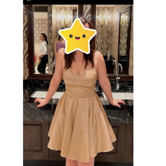 Windsor Zaida Formal Taffeta Skater Dress - Picture 9 of 9